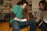 INSEMINATION ARTIFICIELLE 011